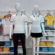 Polo phối bo 2 sọc