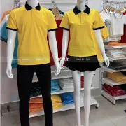 Polo phối cổ